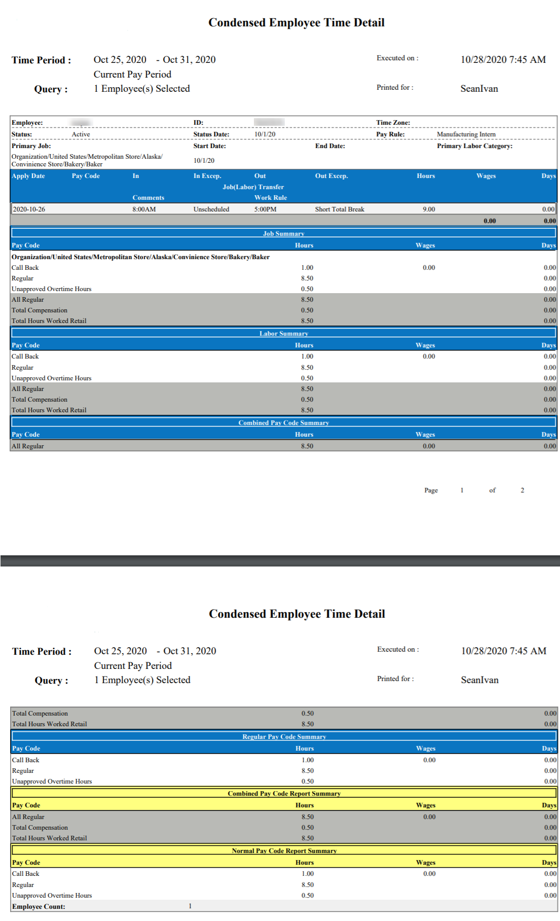 Condensed Employee Time Detail Report